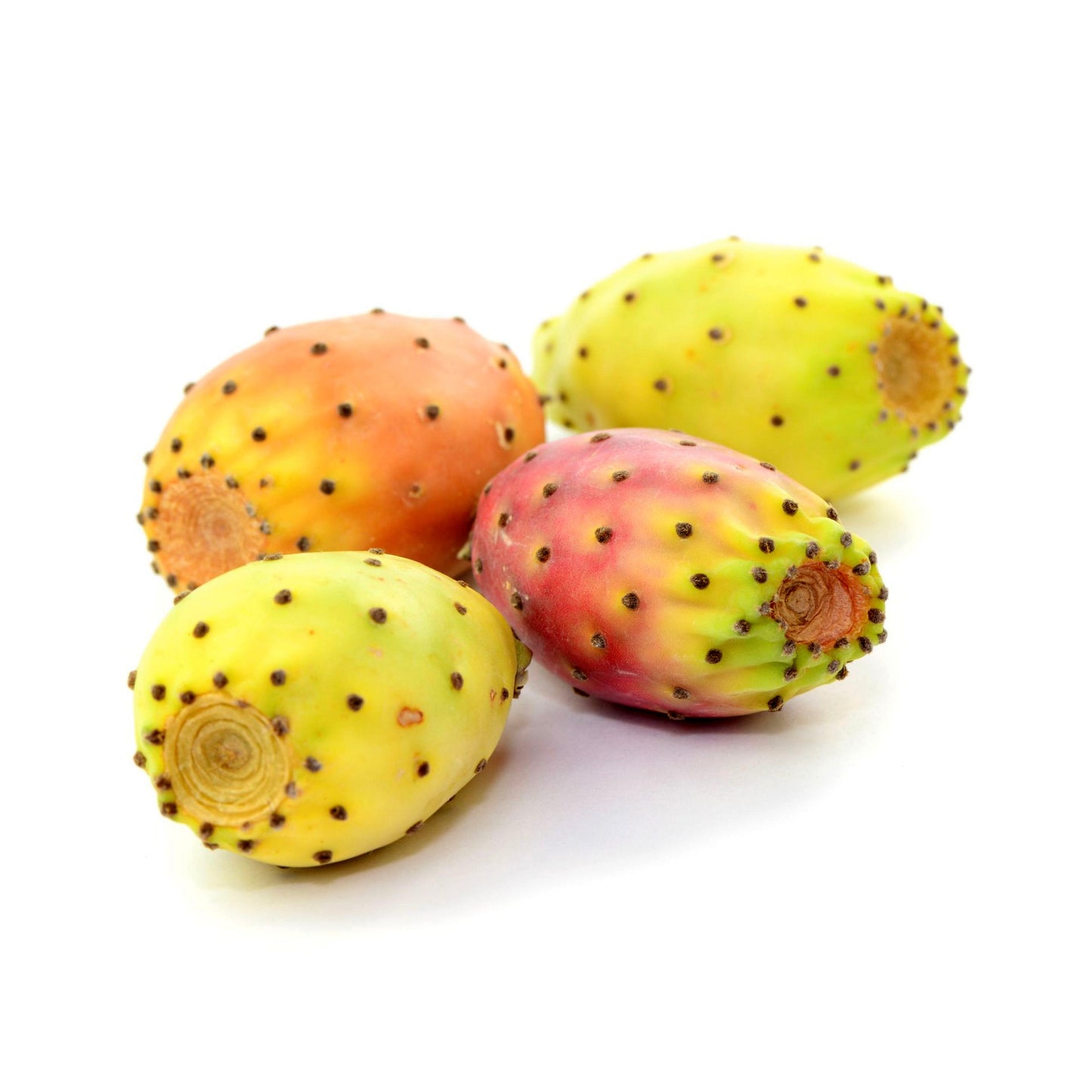 Coffret Pépins de Figue de Barbarie